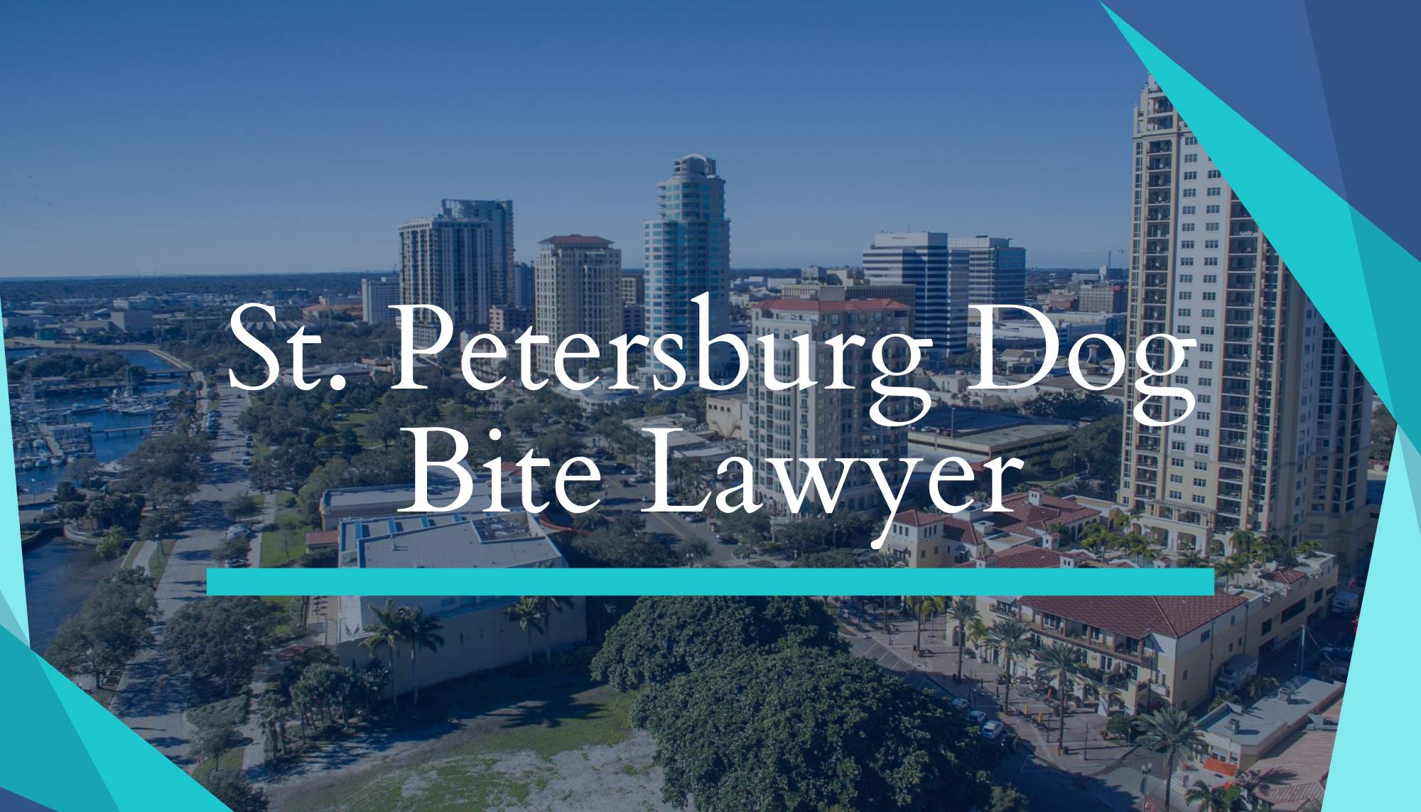 St. Petersburg Dog Bite Lawyer