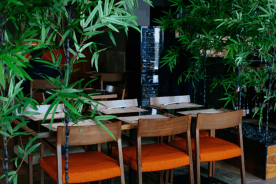 franchise business risks