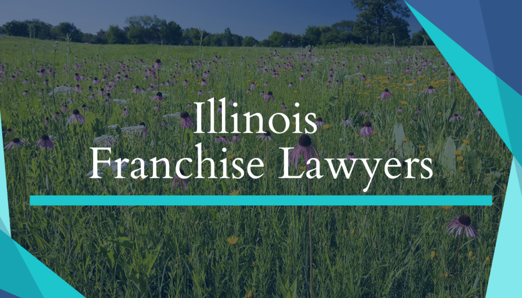 Field of purple coneflowers, Illinois Franchise lawyers