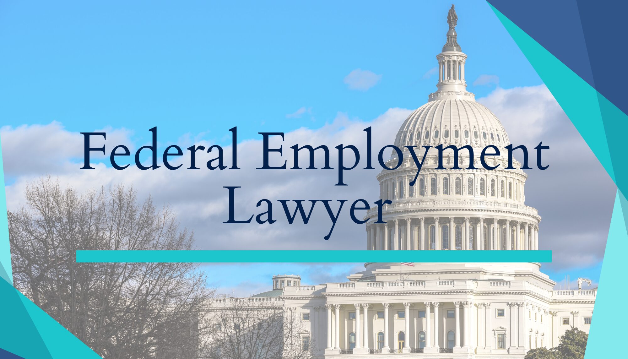 Federal Employment Lawyers