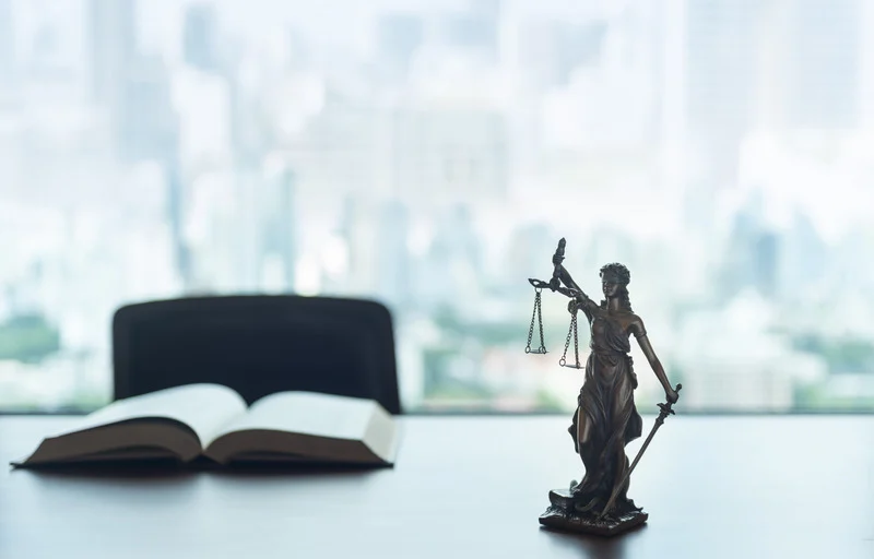 Georgia Federal Employment attorney